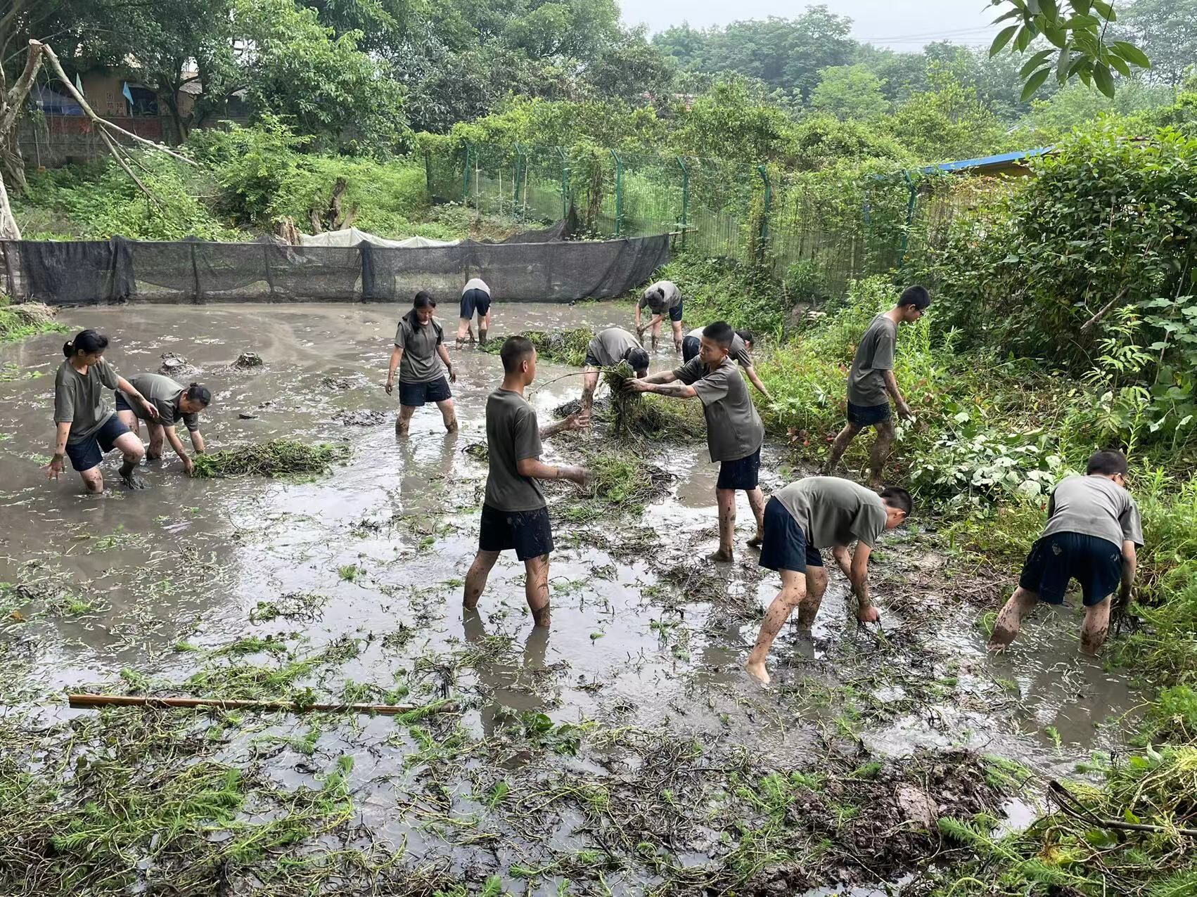 1726286256686417.jpg 1726286249536599.jpg