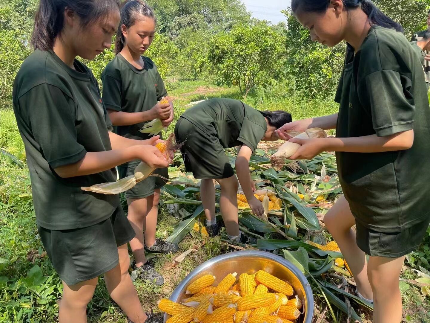 1726286460510720.jpg 1726286456992773.jpg